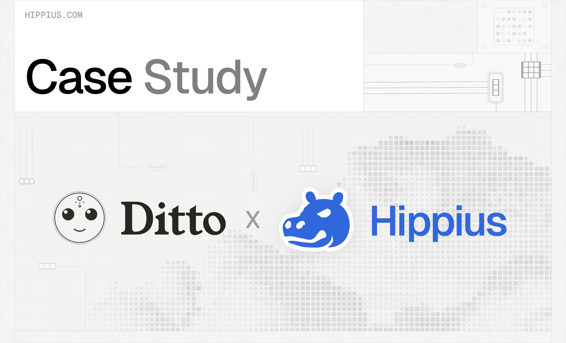 Case Study article on how Ditto.ai uses Hippius for AI memory storage as a Backblaze alternative.