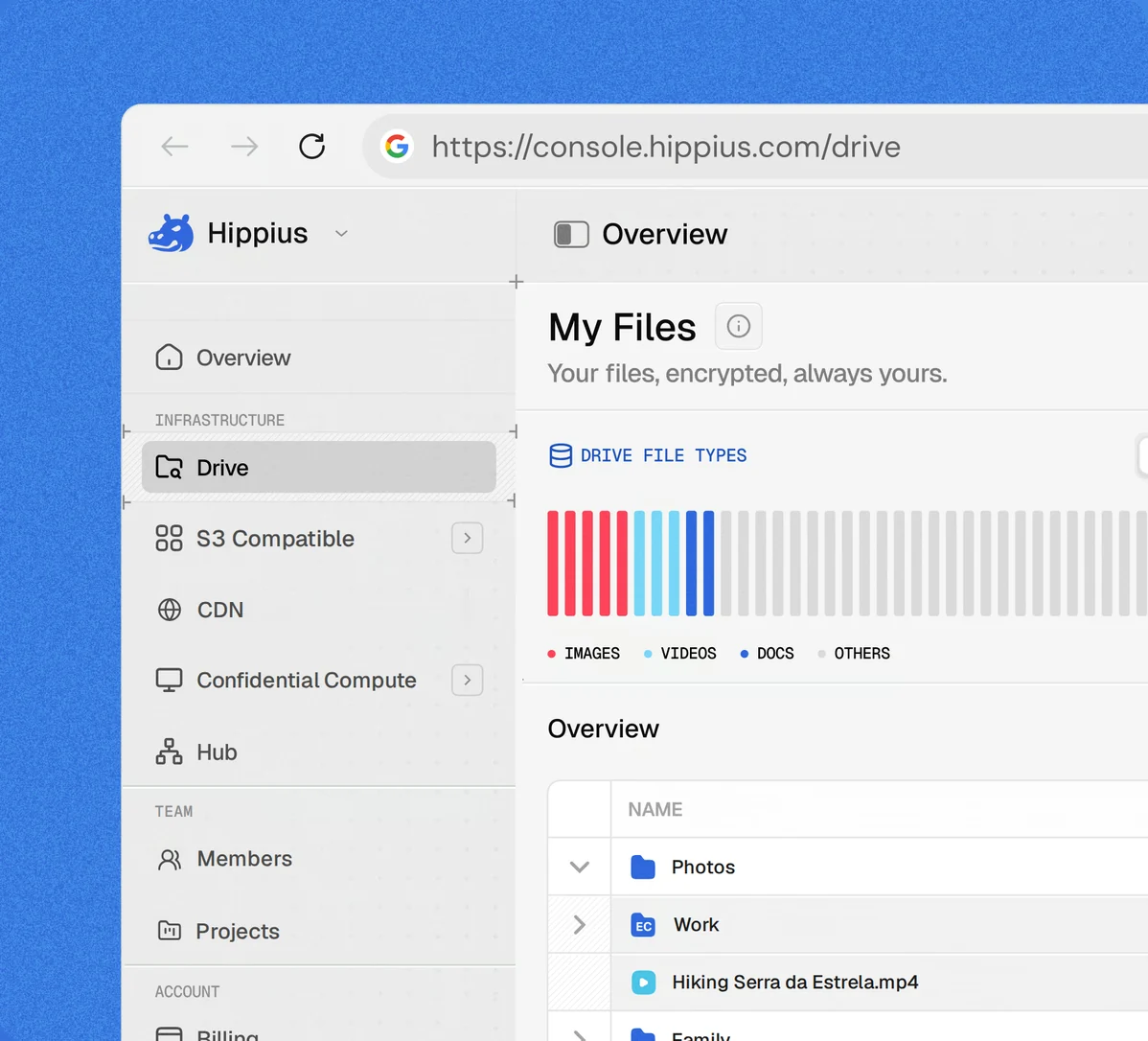 Hippius-Konsole im Browser mit den Dateitypen und Dateien von Drive