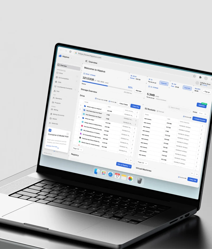The Hippius console open on a laptop, showing storage used, Drive files, S3 buckets and virtual machines