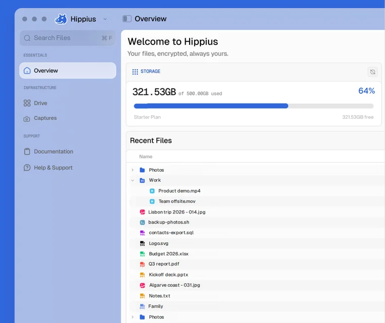 Hippius Drive desktop app showing storage used, file types and recent files
