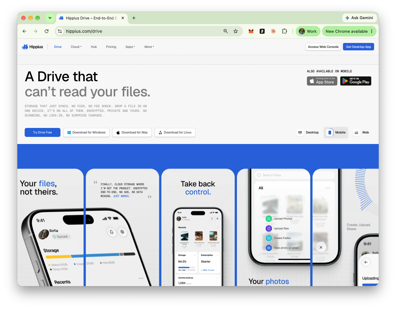 Hippius Website: Drive Page