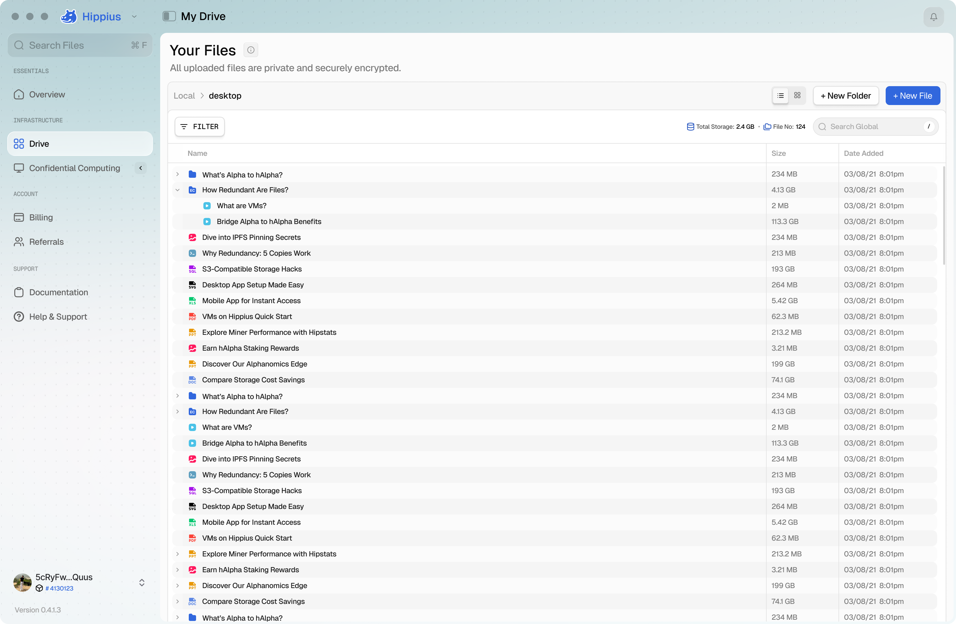 Hippius file interface