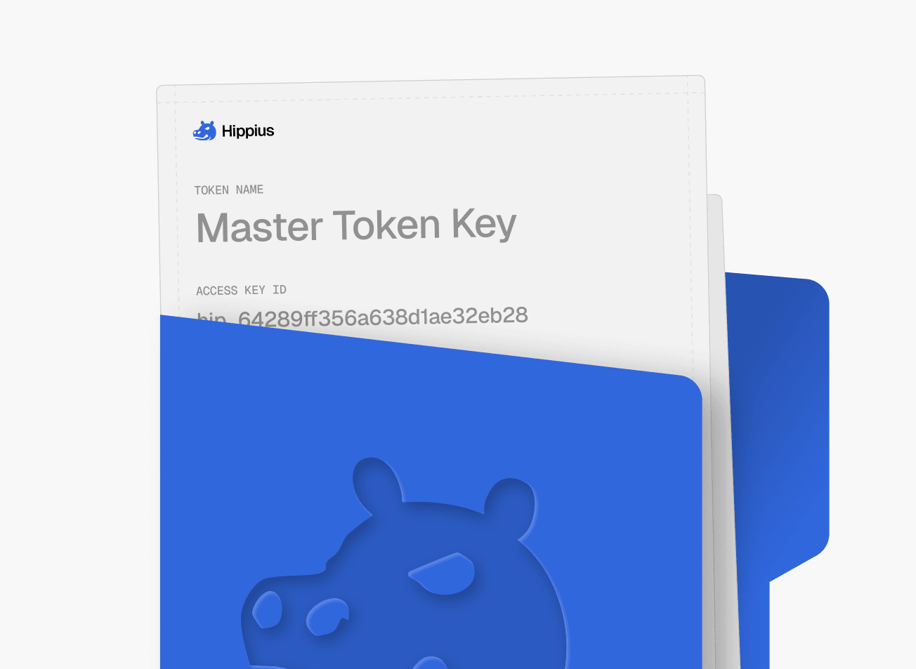 Eine Karte „Master Token Key“ mit ihrer Access Key ID, eingesteckt in einen Hippius-Ordner